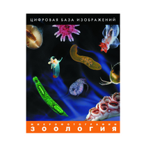 Зоология. Микрофотографии. (Цифровая база изображений) - «globural.ru» - Калуга