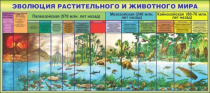 Стенд "Эволюция растительного и животного мира" - «globural.ru» - Калуга