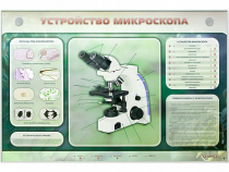 Электрифицированный стенд "Устройство микроскопа и правила работы c ним" - «globural.ru» - Калуга