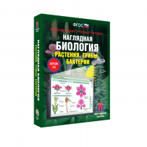 Наглядная биология. Растения. Грибы. Бактерии - «globural.ru» - Калуга