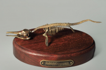 Модель скелета ихтиозавра Ichthyosaurus - «globural.ru» - Калуга