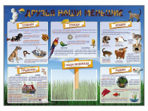 Стенд-уголок "Друзья наши меньшие" - «globural.ru» - Калуга