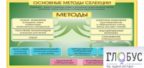 Стенд "Методы селекции и биотехнологии" - «globural.ru» - Калуга