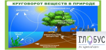 Стенд "Круговорот веществ" - «globural.ru» - Калуга