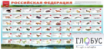 Стенд "Красная книга РФ" - «globural.ru» - Калуга