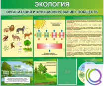 Стенд "Экология. Организация и функционирование сообществ" - «globural.ru» - Калуга