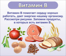Стенд "Витамин В" - «globural.ru» - Калуга