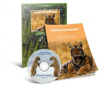 Электронное наглядное пособие «Млекопитающие» - «globural.ru» - Калуга