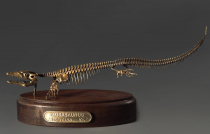 Модель скелета мозазавра Mosasaurus - «globural.ru» - Калуга