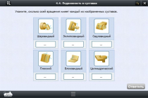 Интерактивные курсы. Биология 8 класс. Базовый  - «globural.ru» - Калуга