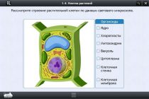 Интерактивные курсы. Биология 9 класс. Базовый - «globural.ru» - Калуга