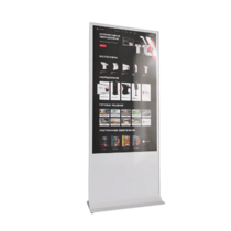 Интерактивный сенсорный киоск Nova 43" - «globural.ru» - Калуга