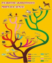 Стенд "Развитие животного мира на земле" - «globural.ru» - Калуга