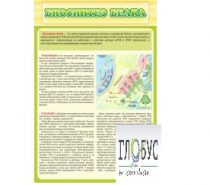 Стенд "Биосинтез белка" - «globural.ru» - Калуга