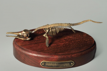 Модель скелета ихтиозавра Ichthyosaurus - «globural.ru» - Калуга