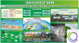 Стенд "Экология. Антропогенное воздействие на биосферу" - «globural.ru» - Калуга