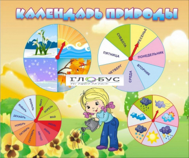 Стенд "Календарь природы" (вариант 1) - «globural.ru» - Калуга