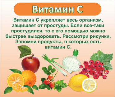 Стенд "Витамин С" - «globural.ru» - Калуга