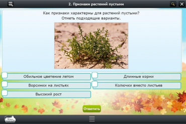 Интерактивные курсы. Окружающий мир 3 класс. Базовый - «globural.ru» - Калуга