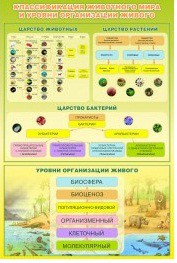 Стенд "Классификация животного мира" - «globural.ru» - Калуга